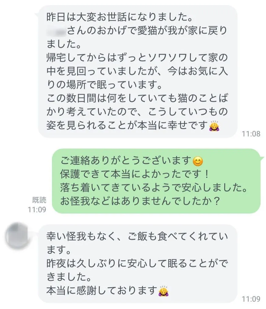 愛猫が無事に帰宅し、怪我もなく安心できたという感謝のLINEメッセージ