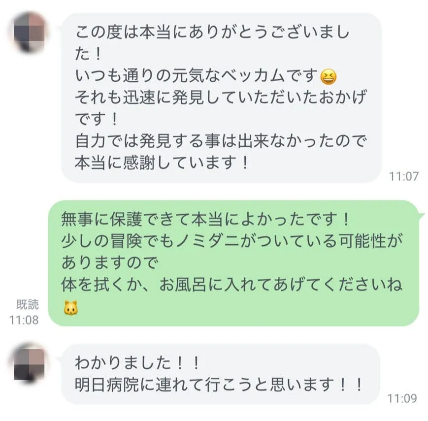 迅速な発見で元気な愛猫と再会できたという感謝のLINEメッセージ
