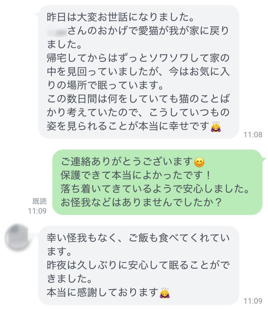 愛猫が無事に帰宅し、怪我もなく安心できたという感謝のLINEメッセージ