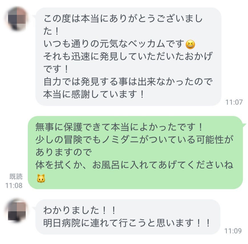 迅速な発見で元気な愛猫と再会できたという感謝のLINEメッセージ